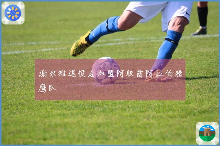 谢尔维退役后加盟阿联酋阿拉伯猎鹰队